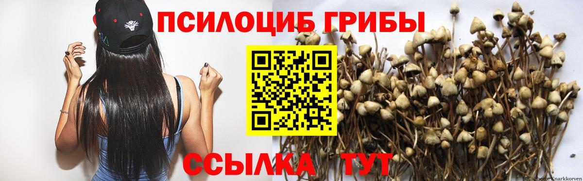 Псилоцибиновые грибы Magic Shrooms  Псилоцибиновые грибы MAGIC MUSHROOMS  Зеленогорск  Вход с VPN 