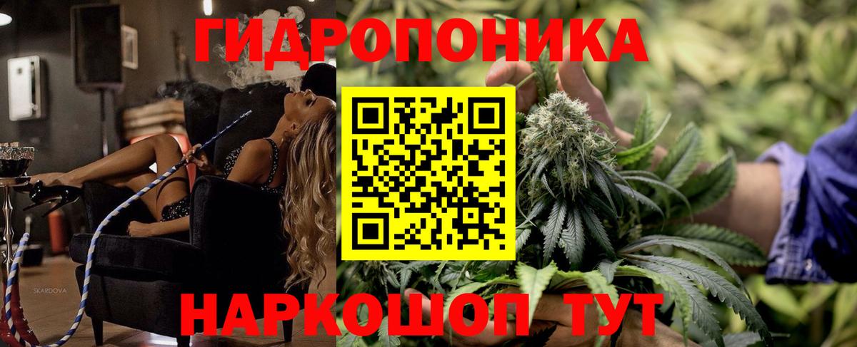 Канабис семена  Вход с VPN  Зеленогорск  МАРИХУАНА LSD WEED  Бошки Шишки марихуана 