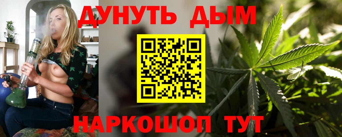 Конопля конопля Зеленогорск